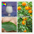 High Quality Product Acetamiprid 20%sp for Pesticide Control